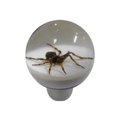 Autotecnica White Spider Gearknob